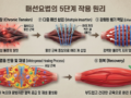 광주 만성통증 환자분들이 가장 많이 묻는 질문“이건 안 낫는 건가요? 계속 아프면 결국 수술해야 하나요?”